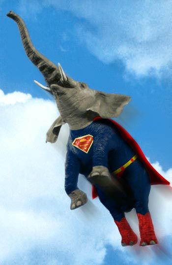 Продукты питания, напитки