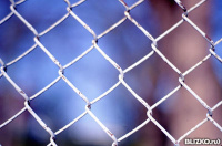 System 501.2 пародонтологическая