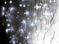 Барбарис Atropurpurea (кр)