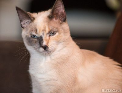 Бел. рубли 666 от до