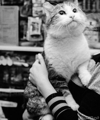 Бел. рубли 666 скидка