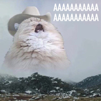 Fgdfgdgsg