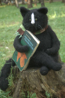 Кот аквариумист